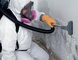 Why You Should Choose Our Mold Remediation Services in Arcadia, CA